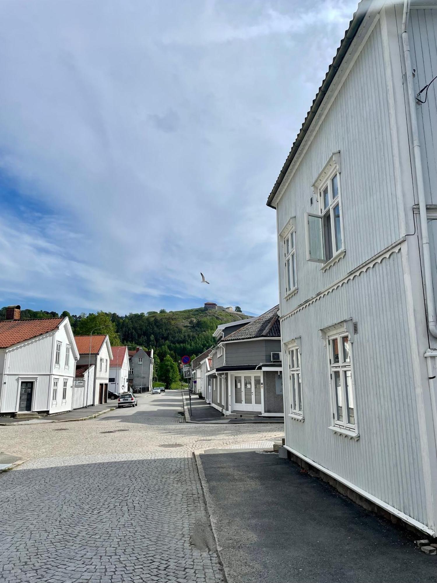 Sentral Og Fargerik Bygardsleilighet Halden Luaran gambar
